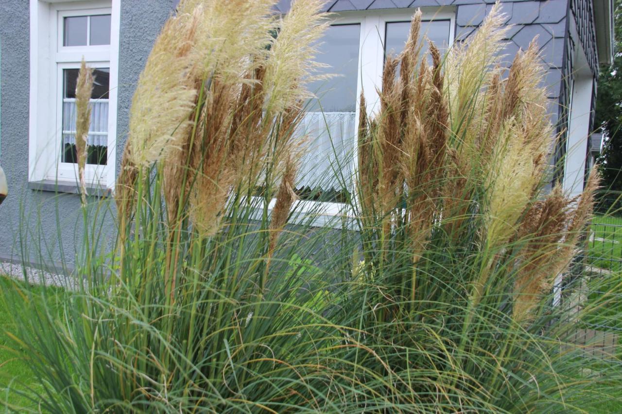 Fewo Nordseeflair Eg - Wiarden Exterior foto